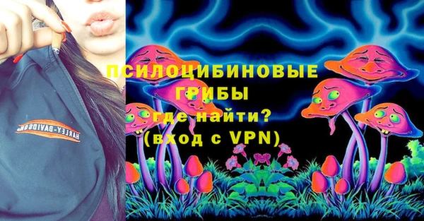 ГАЛЛЮЦИНОГЕННЫЕ ГРИБЫ Магас