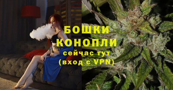 Альфа ПВП Магадан