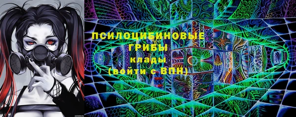 ПСИЛОЦИБИНОВЫЕ ГРИБЫ Майский