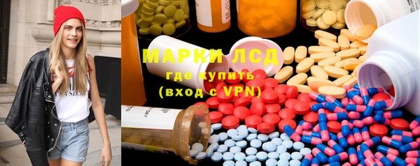 ГАЛЛЮЦИНОГЕННЫЕ ГРИБЫ Магас