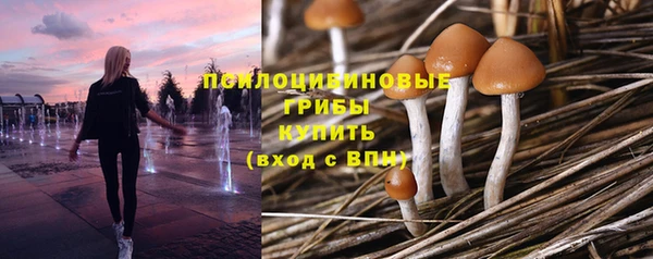 ГАЛЛЮЦИНОГЕННЫЕ ГРИБЫ Магас