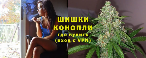 ГАЛЛЮЦИНОГЕННЫЕ ГРИБЫ Магас