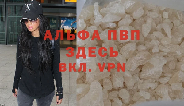 ГАЛЛЮЦИНОГЕННЫЕ ГРИБЫ Магас