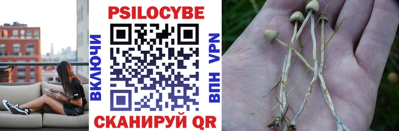 Псилоцибиновые грибы Magic Shrooms  купить наркоту  mega онион  Сургут 